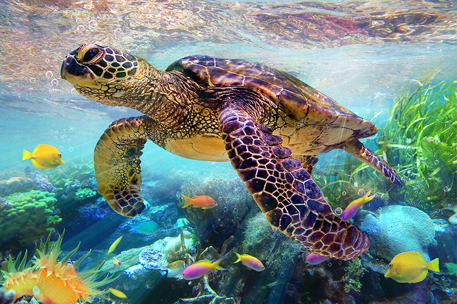 Nature wall art collection — photorealistic ocean and tropical art prints by SkyloveArt