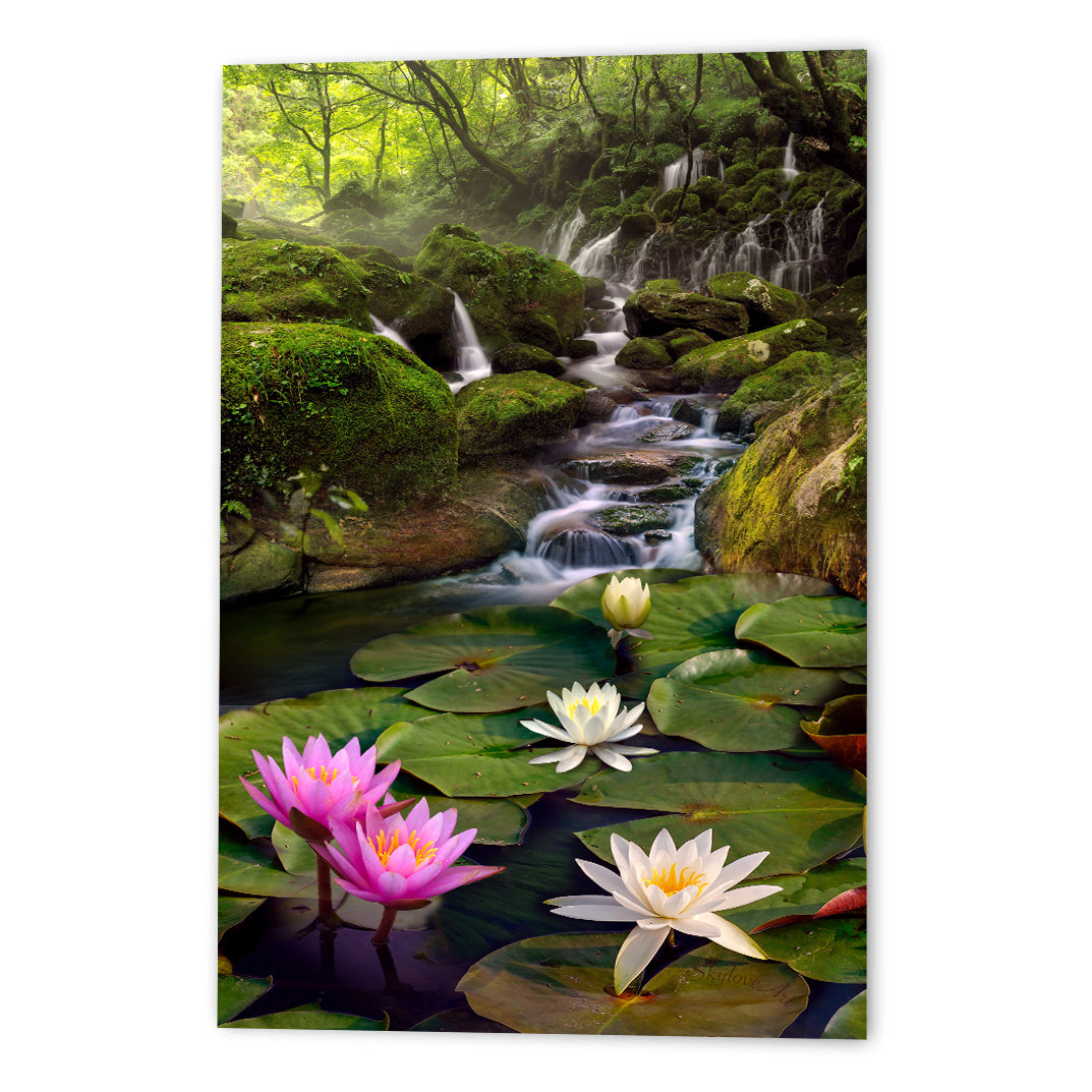 Lotus pond wall art — serene waterfall with water lilies in an enchanted forest by SkyloveArt
