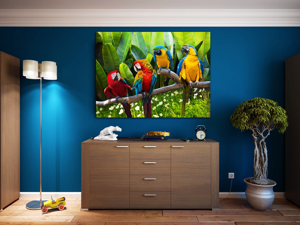 Parrots wall art displayed in a room setting