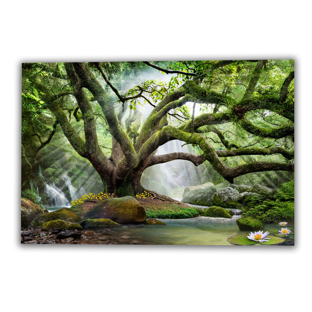 Enchanted tree wall art — ancient tree in a mystical forest landscape by SkyloveArt
